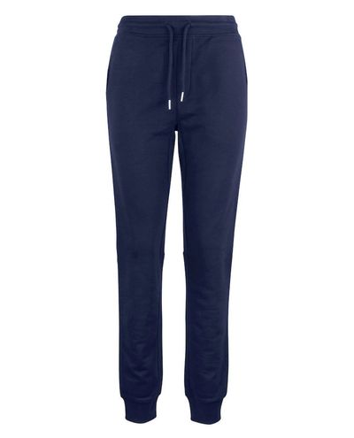 Premium OC Pants, Navy
