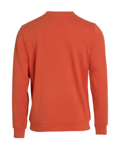 Basic Roundneck, Oranssi