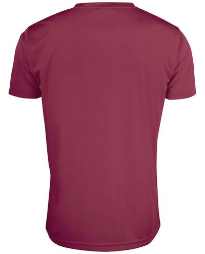 Clique Basic Active-T, Kanerva