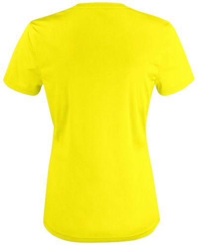 Basic Active-T Women, Huomiokeltainen