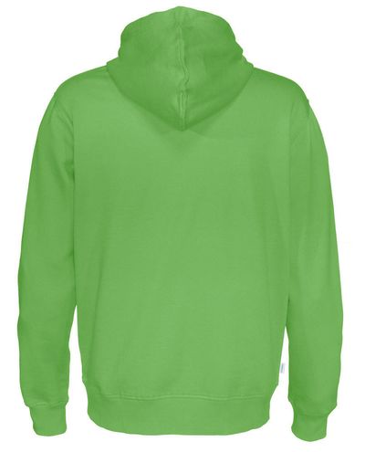 Miesten Luomu huppari, Vihreä