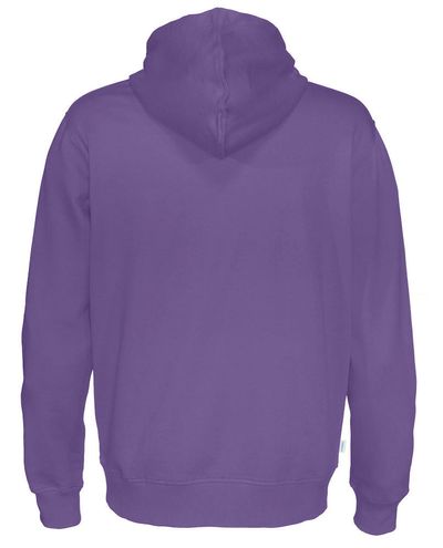 Miesten Luomu huppari, Violetti