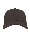 Shot lippis, Dark Grey