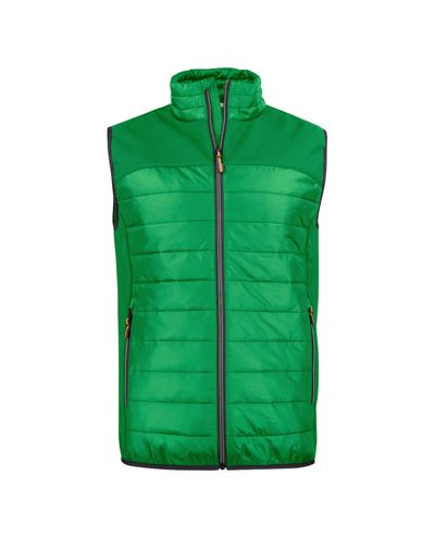 Expedition Vest, Vihreä