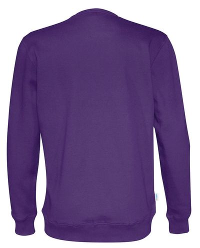 Luomu Collegepaita, Violetti
