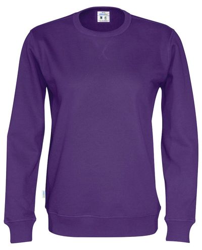 Luomu Collegepaita, Violetti