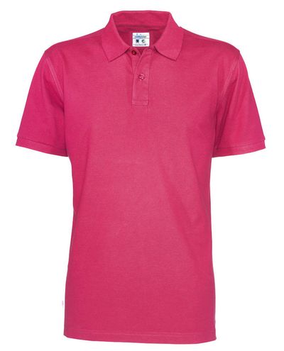 Luomu Pique Man, Pinkki