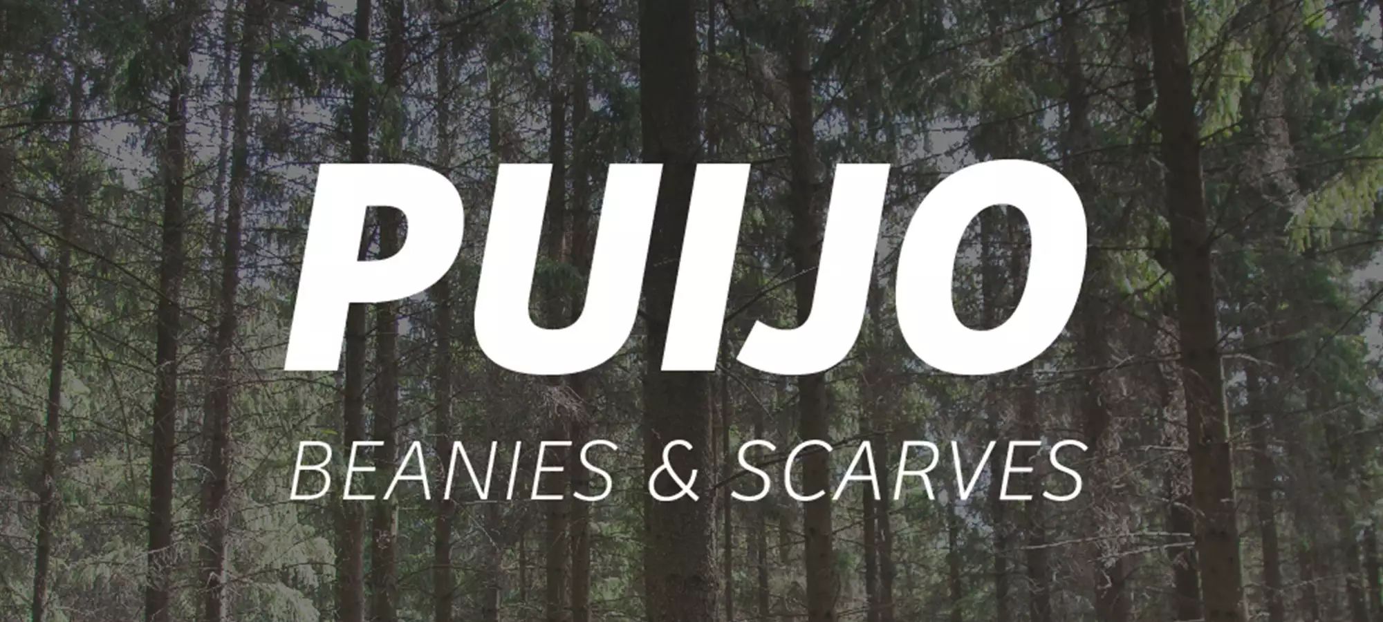 Puijo